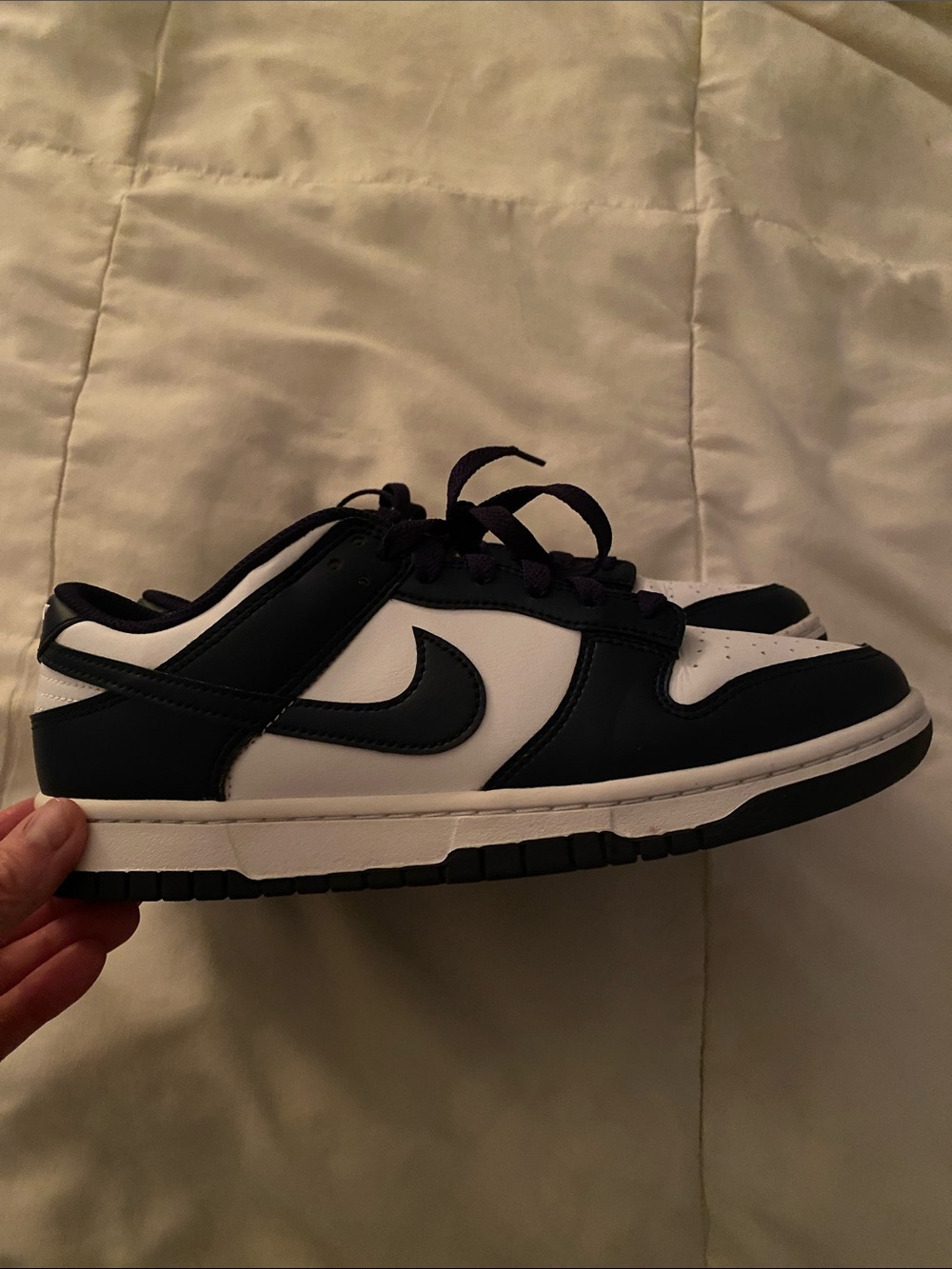 Nike Low Top Sneakers in White and Navy Blue